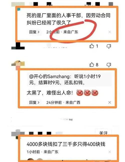 东莞视频爆料事件真相,真相揭秘与反思