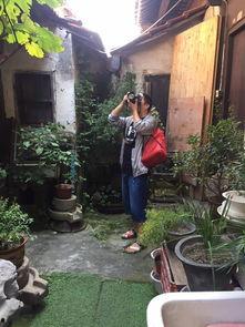 沙溪最新的瓜爆料,揭秘最新瓜爆料背后的故事  第2张